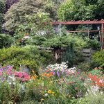 Flower Garden IMG_0316