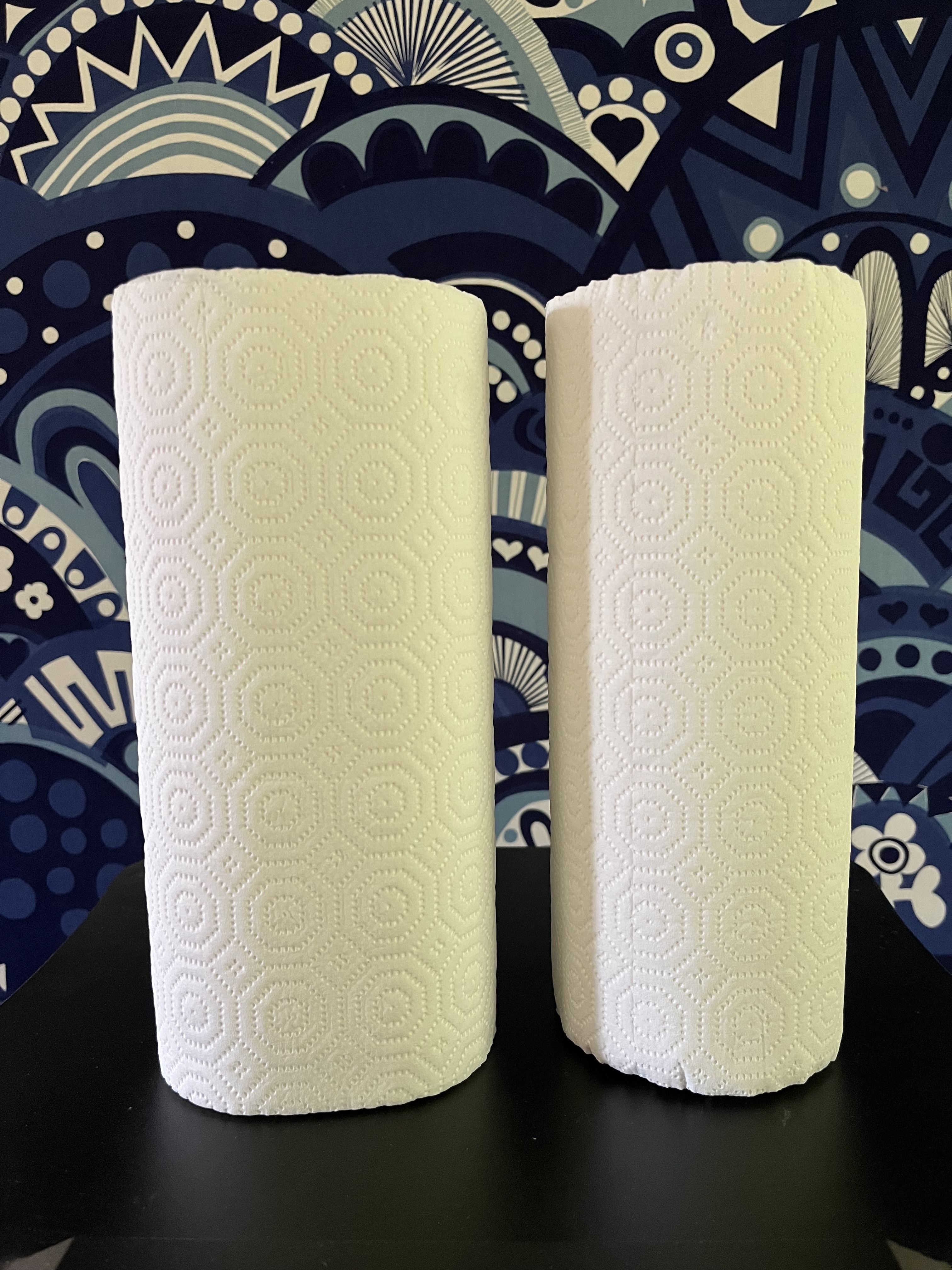 Paper Towel Comparison IMG_1288