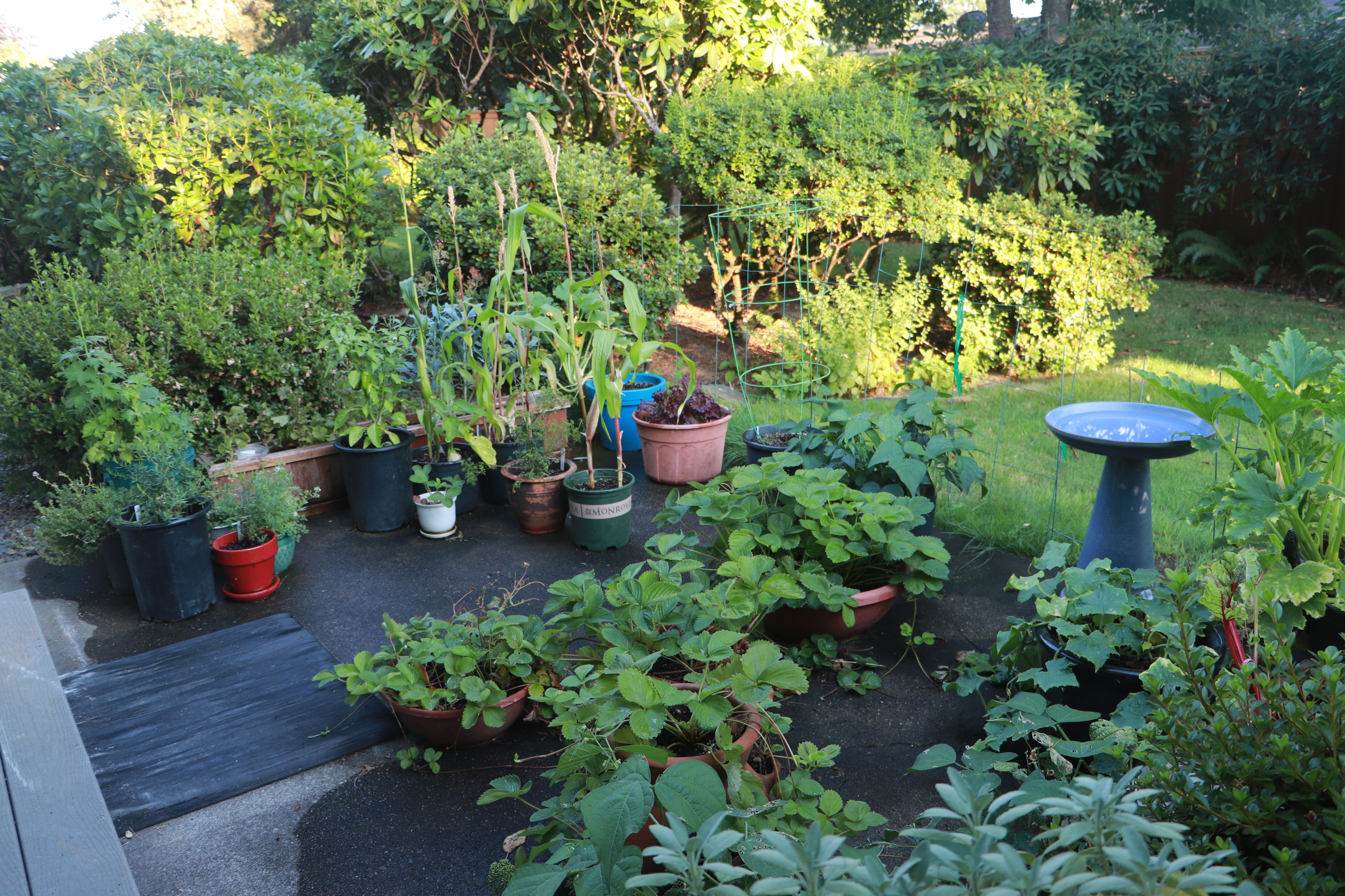 Garden Patio Both Sides IMG_4132 Garden Patio Both Sides IMG_4132