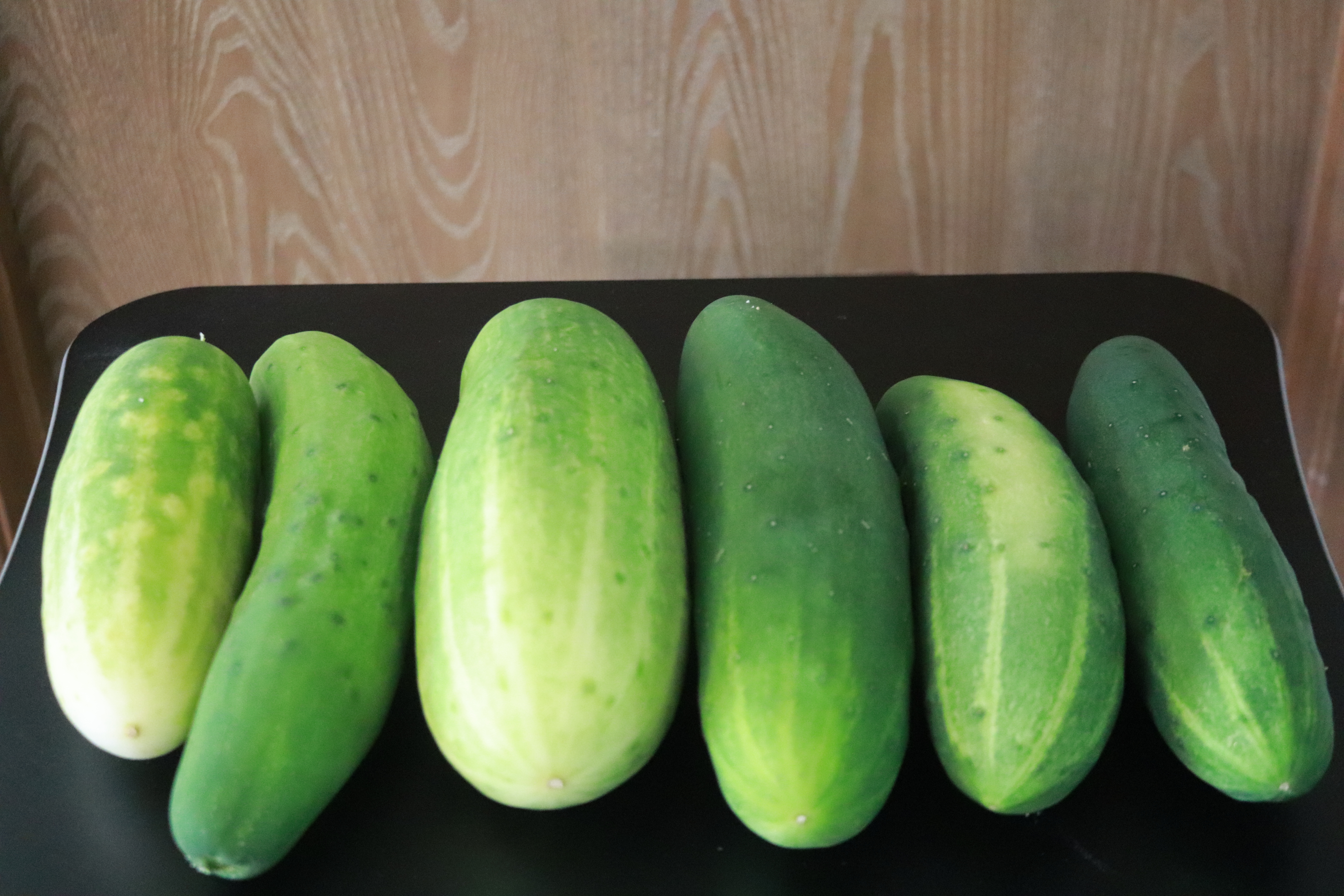 Cucumbers Six IMG_4107 Cucumbers Six IMG_4107