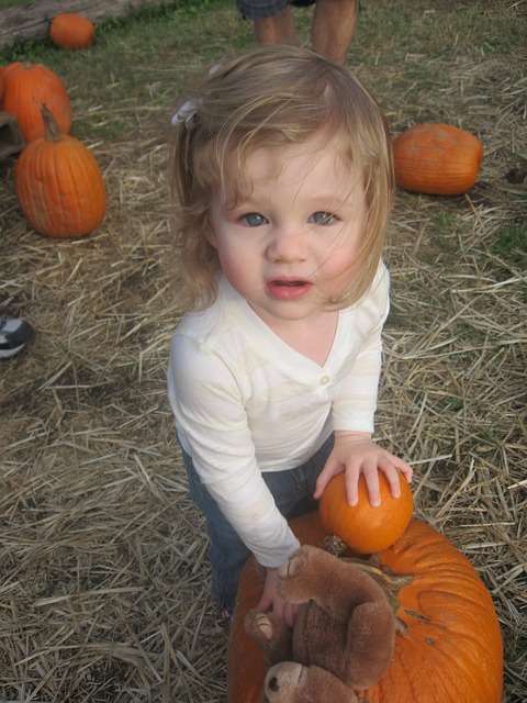 Halloween pumpkins-Toddler With a Large and Small Pumpkin gfdbfb8d33_640
