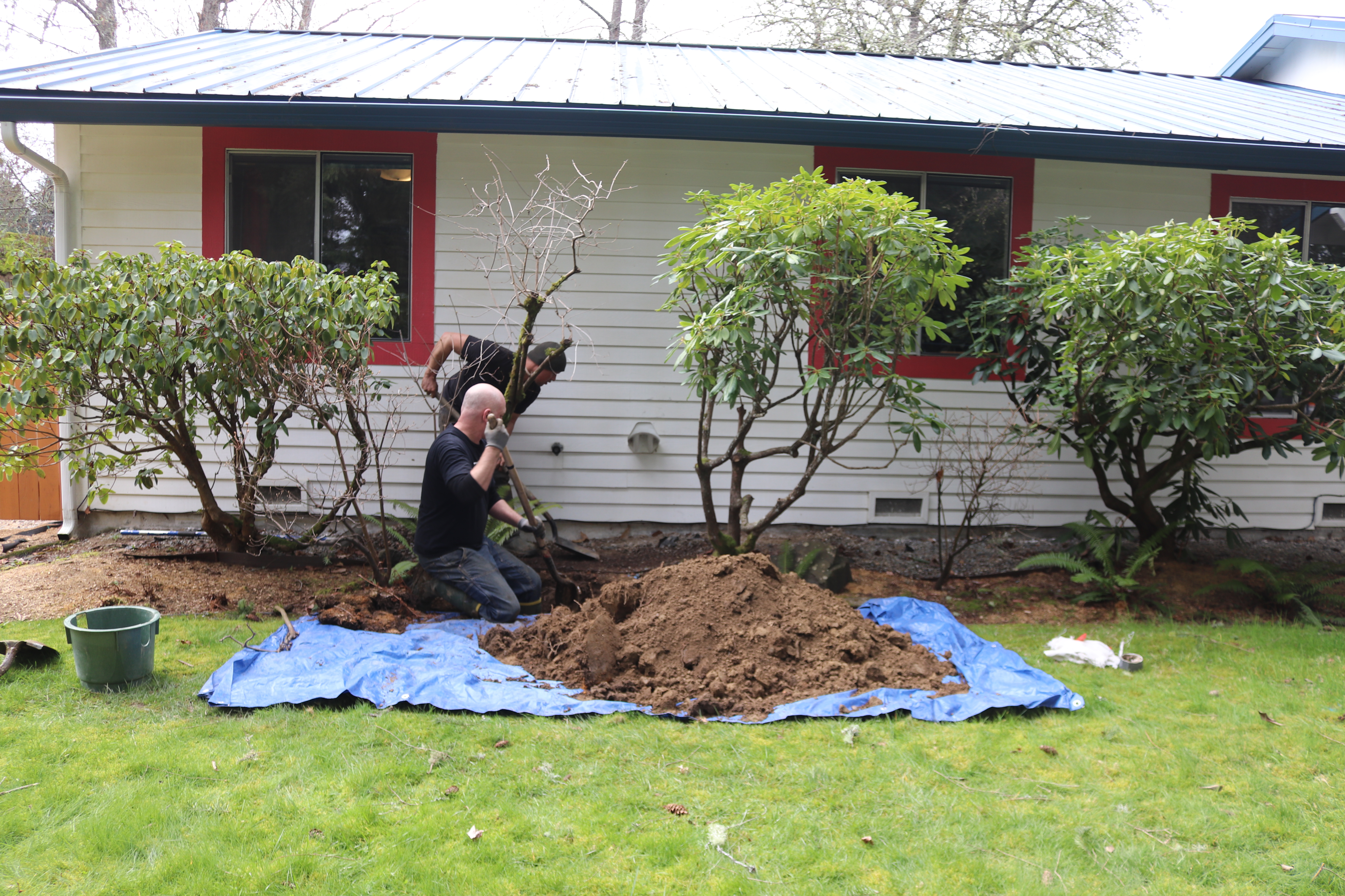 Hole Being Dug By Justin By House IMG_7090