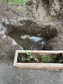 Hole Filling Up With Water Bigger IMG_1941