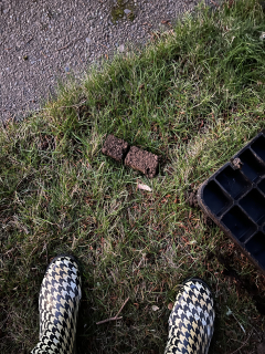 Dirt Clots Left By City IMG_1929