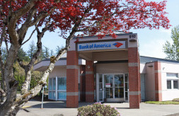 6a00e550081576883402b751aae444200c