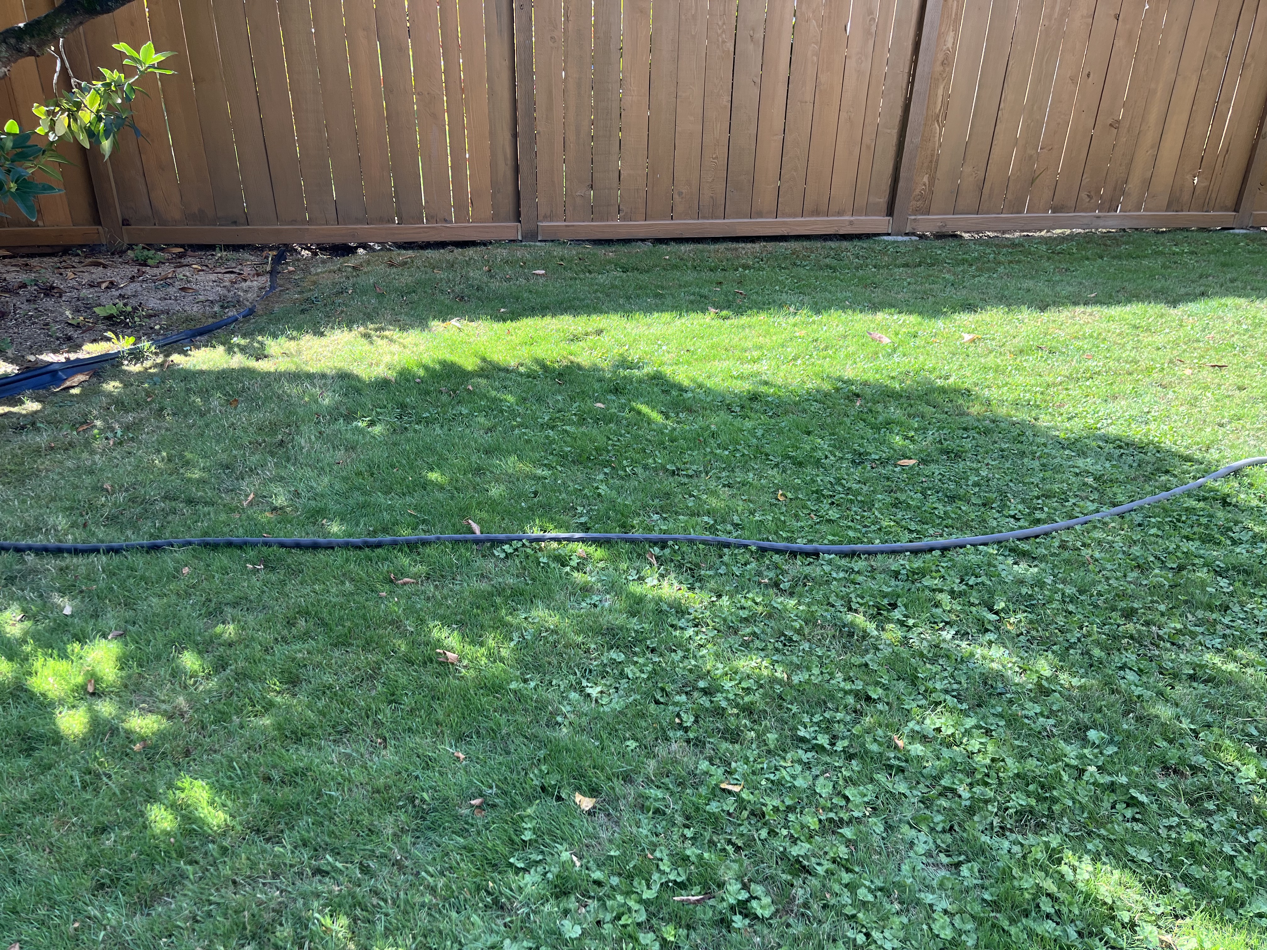 Hose Straight IMG_4010