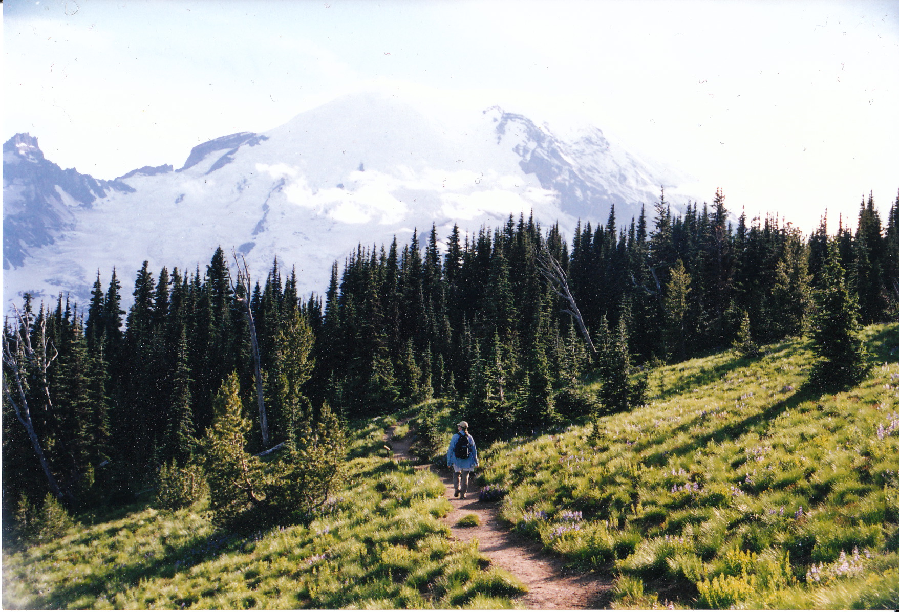 Mona Mt Rainier