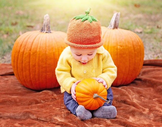 Boy-with Pumpkins for Halloween 8334944_640