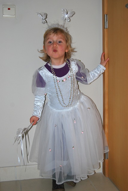 Princess Costume child-215378_640