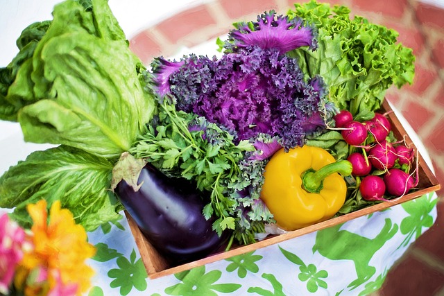Nutrition vegetables-790022_640