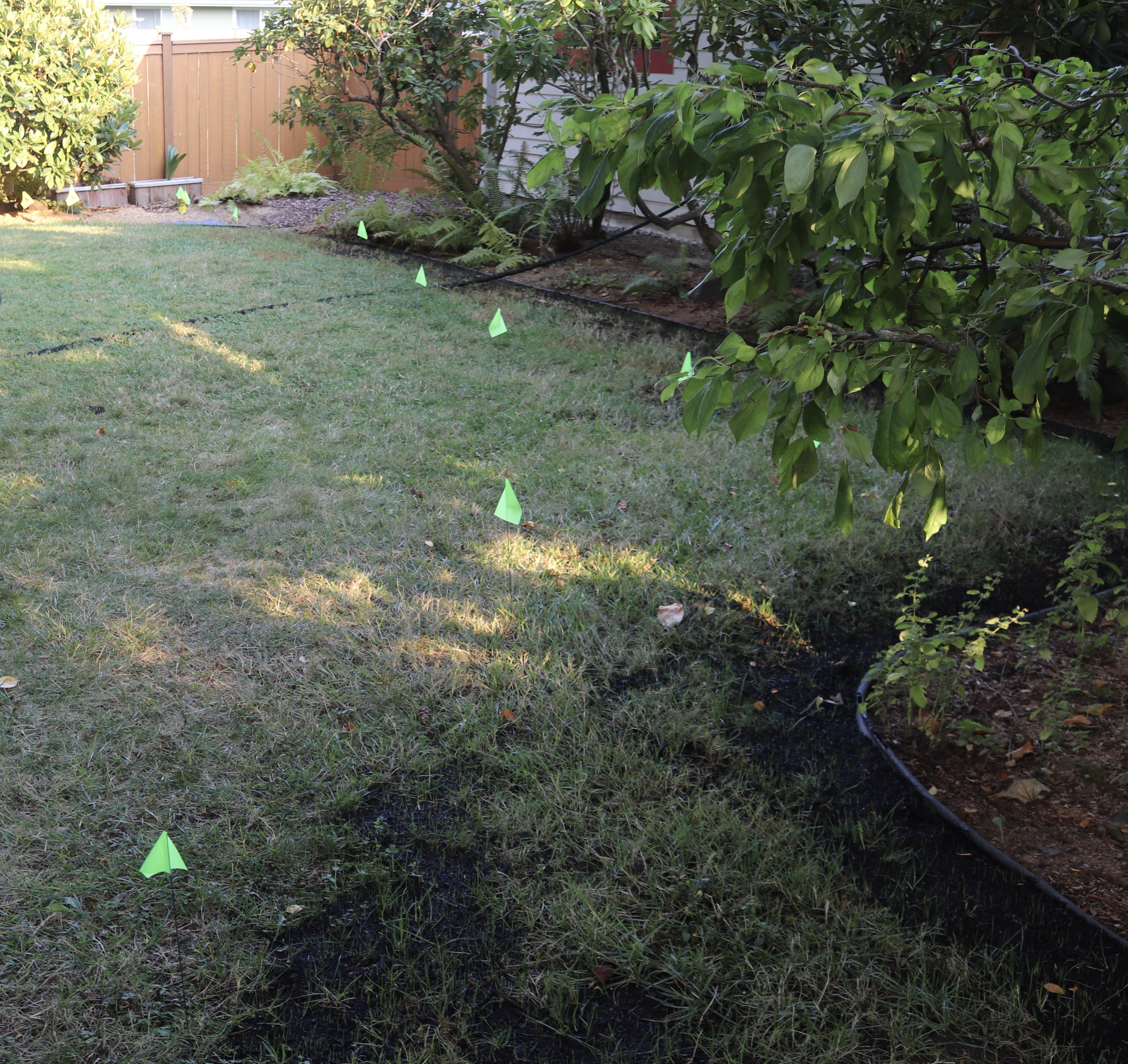 Grass Flags IMG_4161