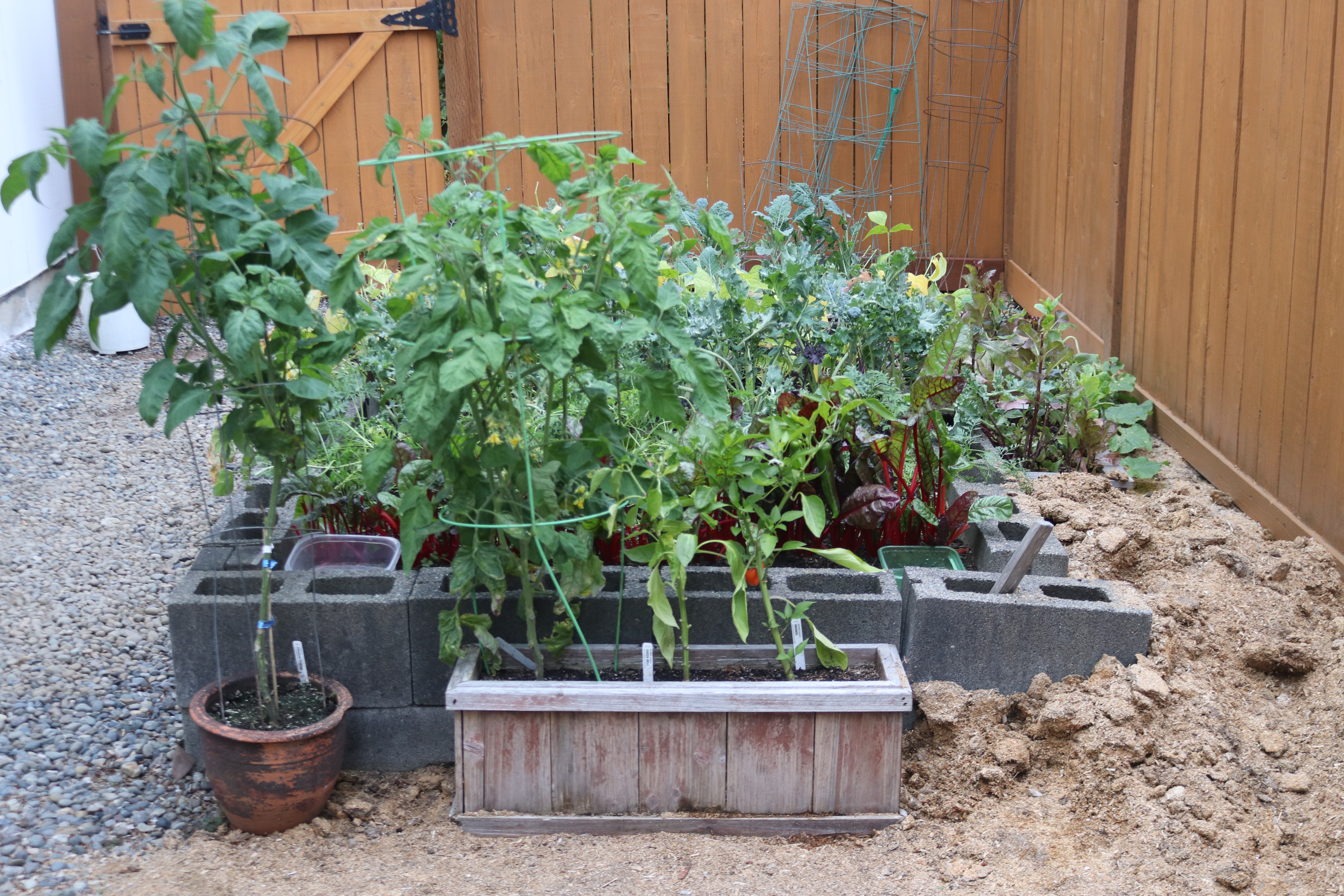 GArden Narrow IMG_4933