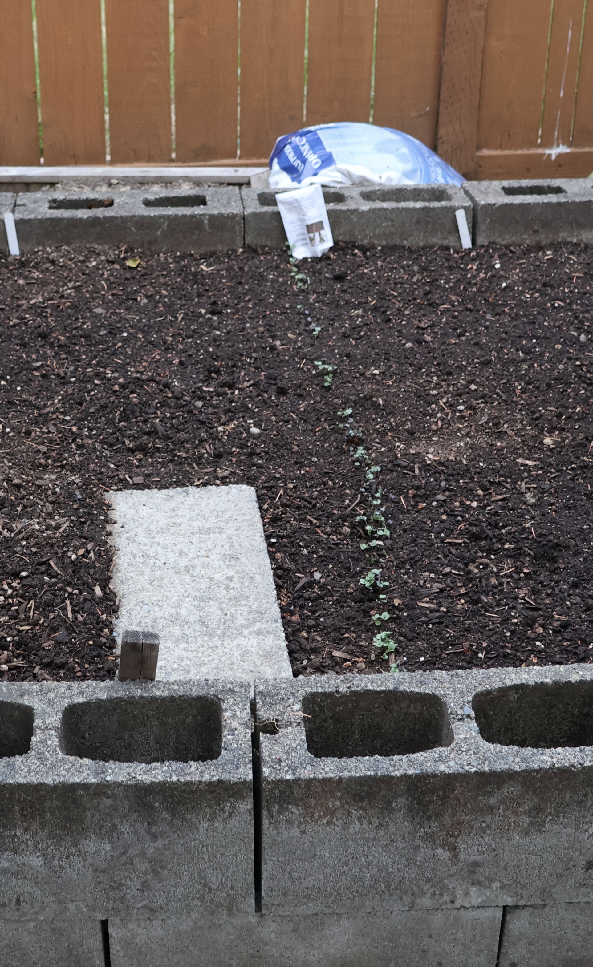 Garden Just Planted 6-2-25