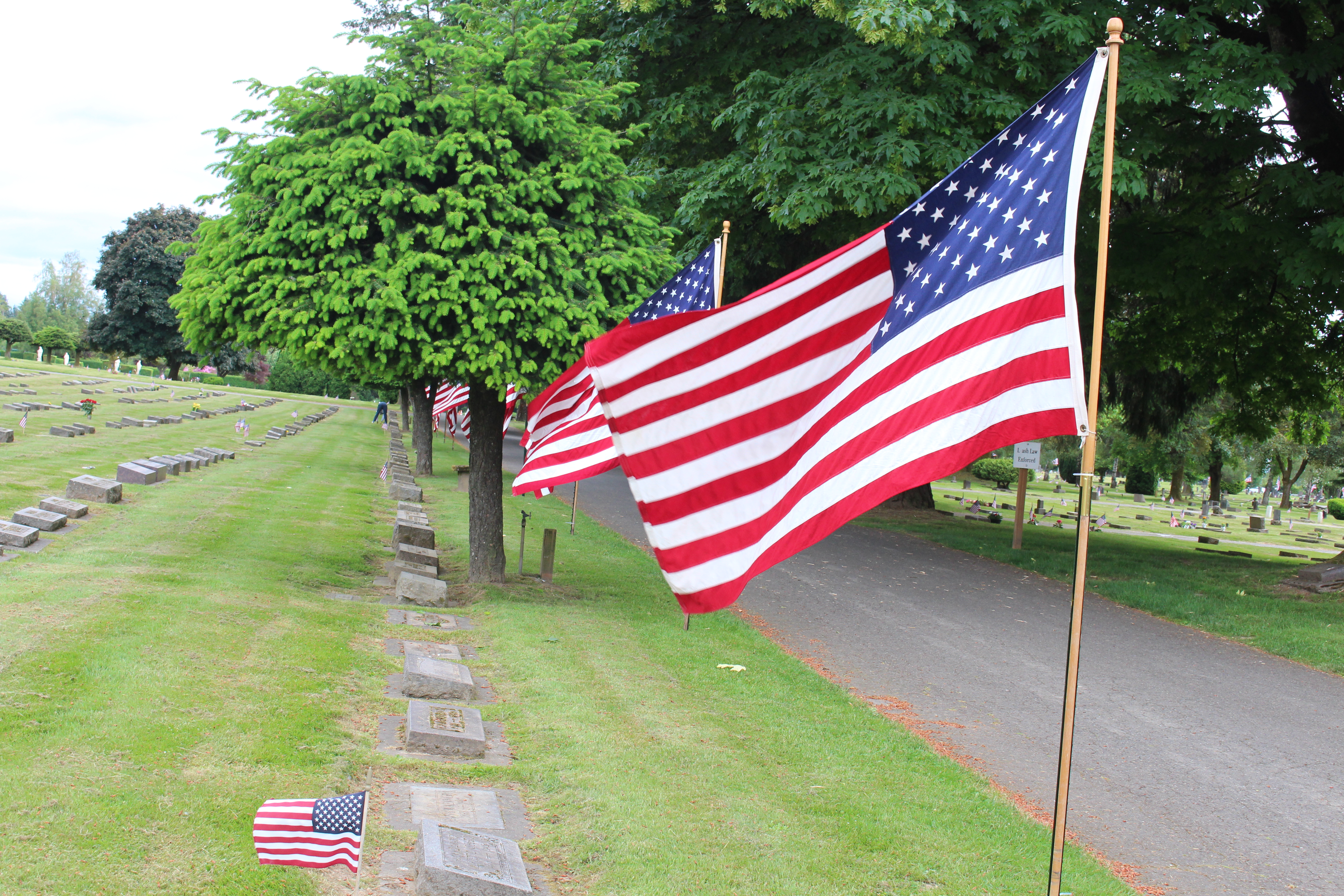 Flags 2 Cemetery