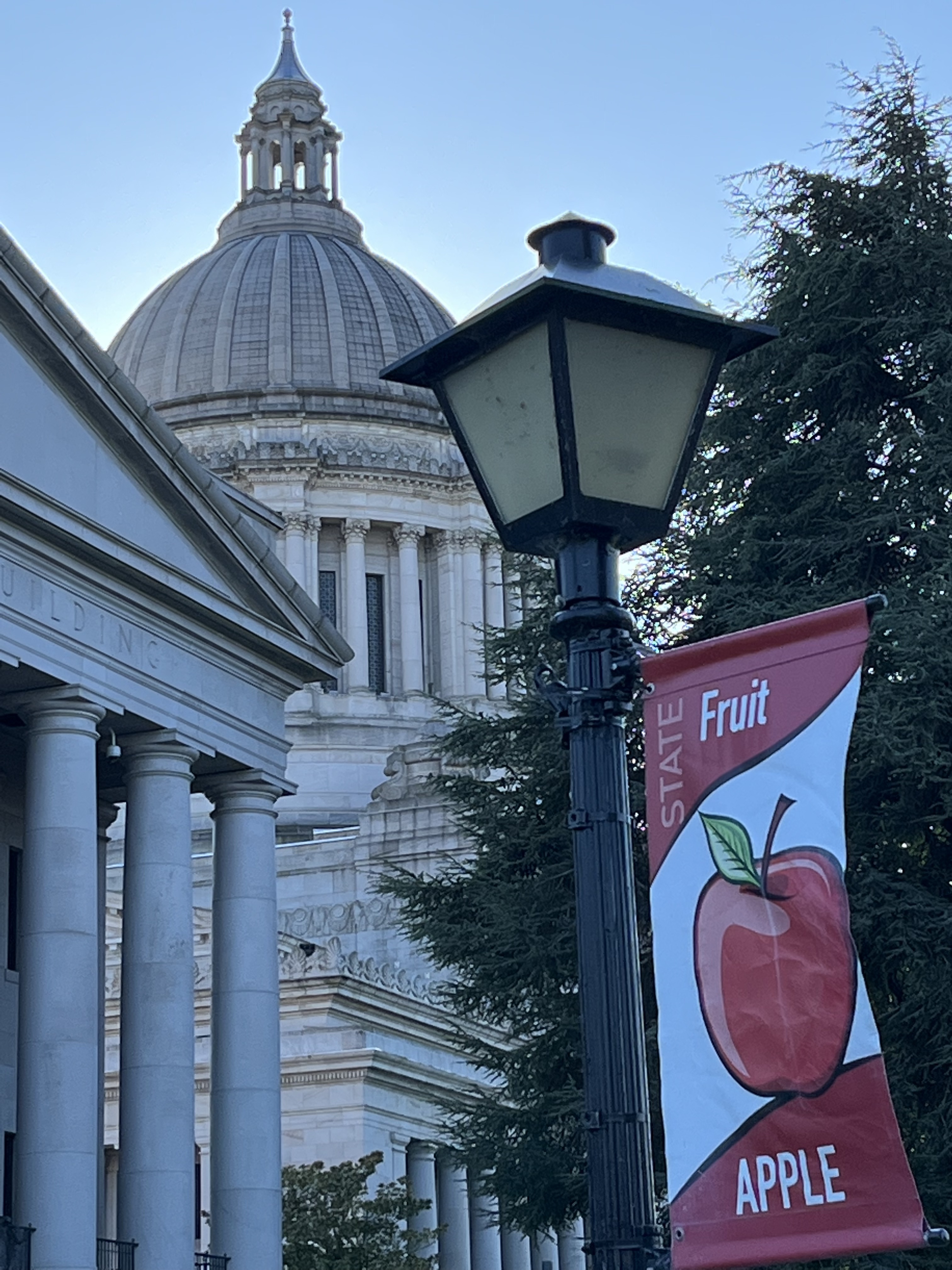 Apple Washington State Fruit IMG_1246