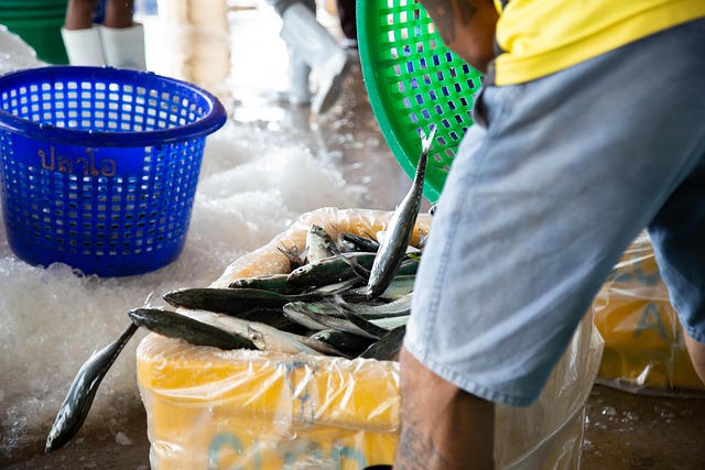 Fish-Guy Putting Caught Fish in a Basket 5399717_640
