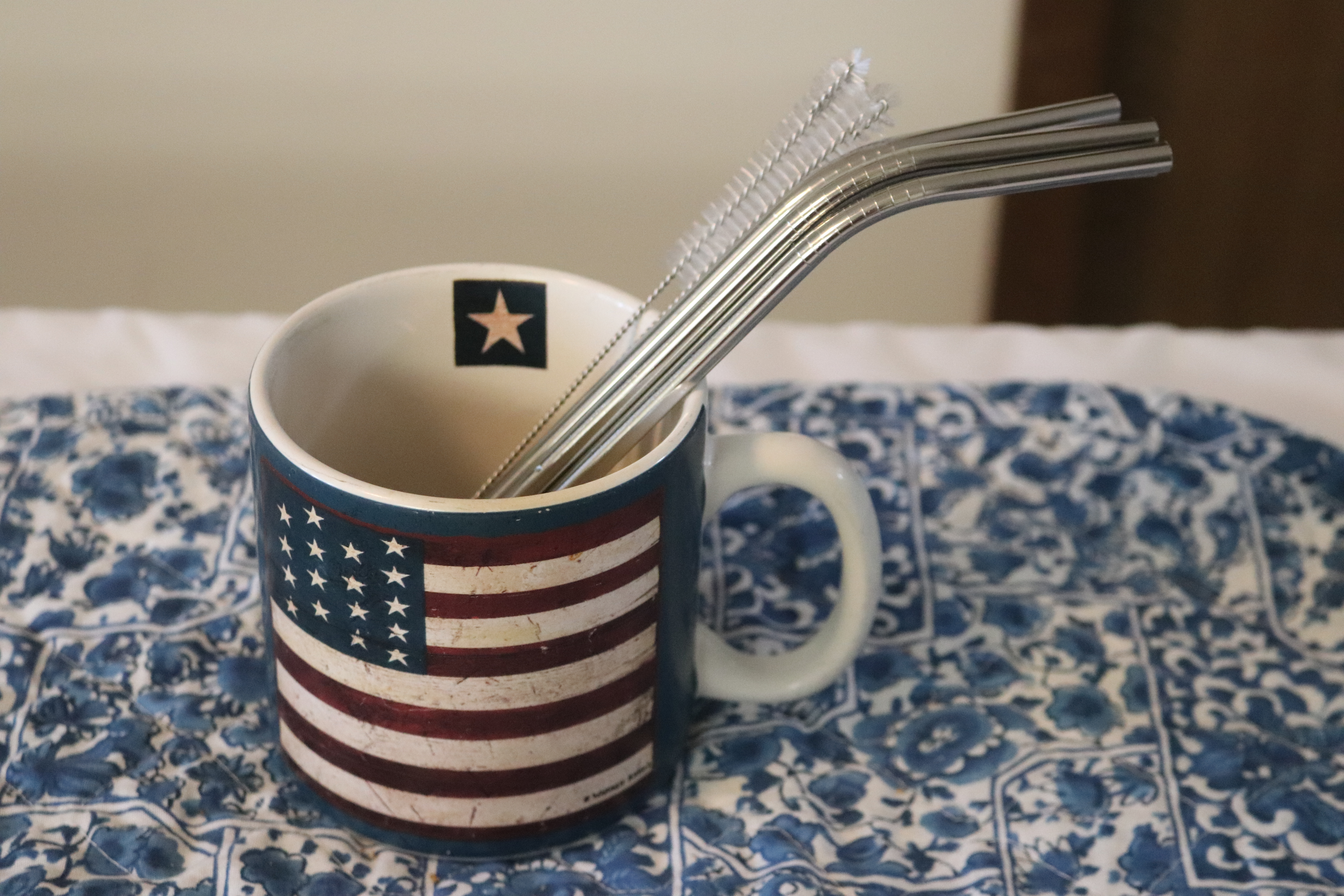 Metal Straws IMG_5237