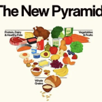 Food Pyramid