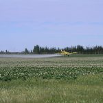 6a00e550081576883402e860ee74a3200b