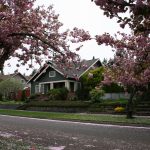 House Flowering Trees
