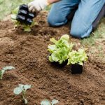 How to plant a garden a woman planting on the garden plot