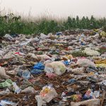 field covered in plastic bags and other trash