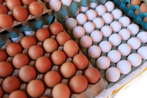 assorted brown and white eggs in cartons